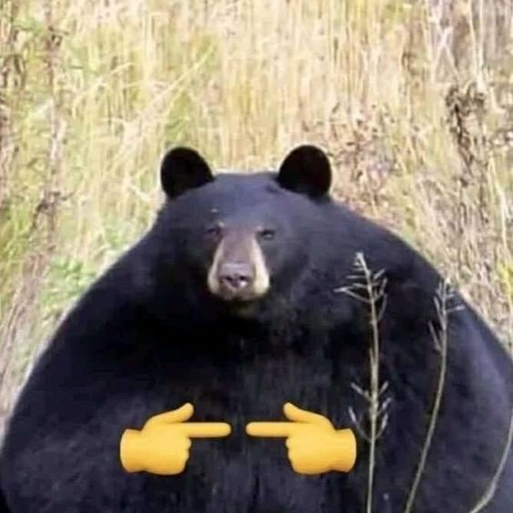 UwU Bear